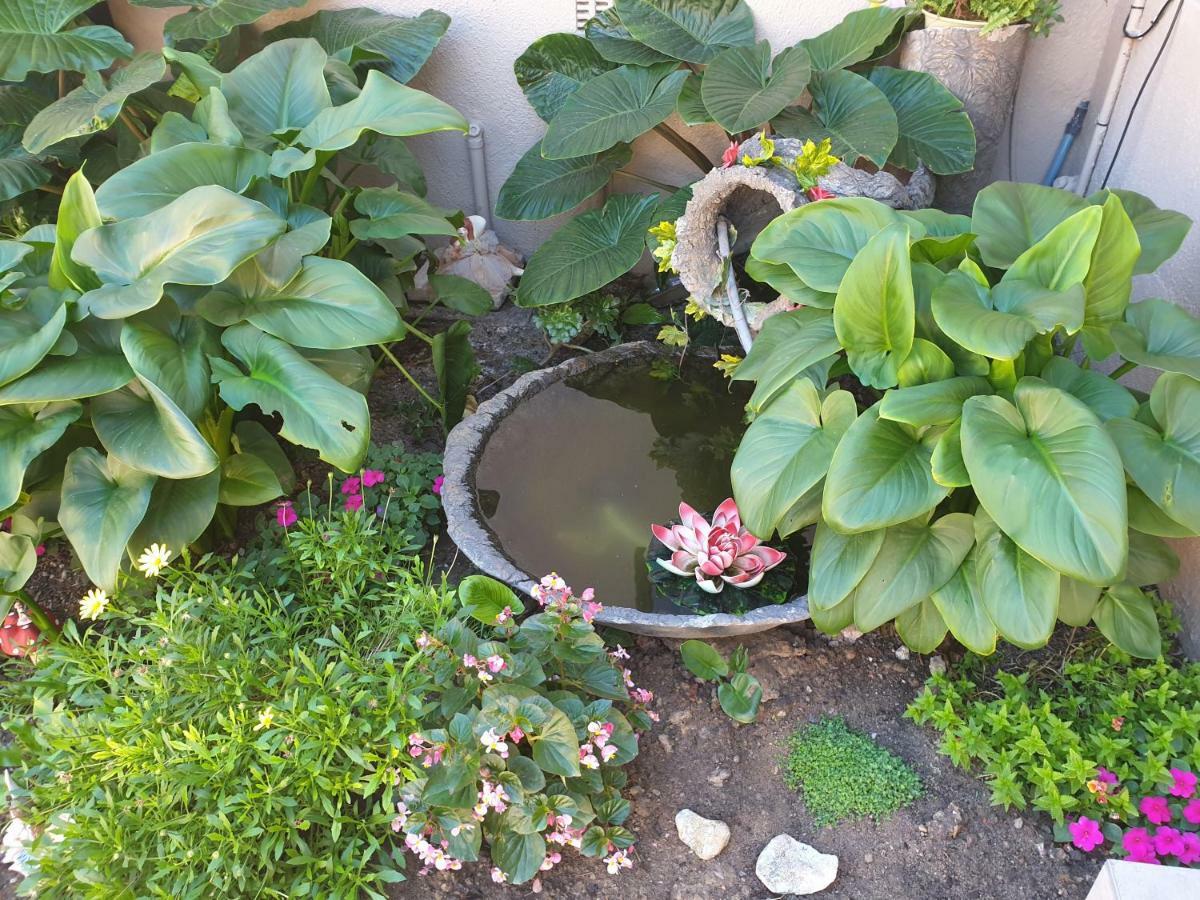 Dilisca Guesthouse Durbanville Εξωτερικό φωτογραφία