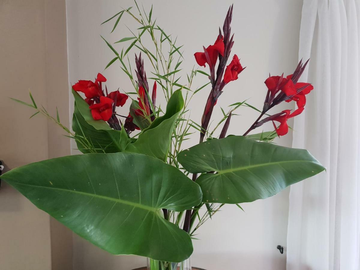 Dilisca Guesthouse Durbanville Εξωτερικό φωτογραφία